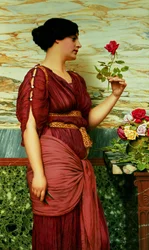 Une rose rouge, rouge